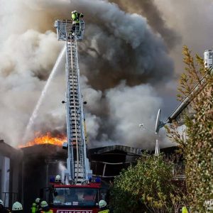 24992062741_aac0341333_b-min-min